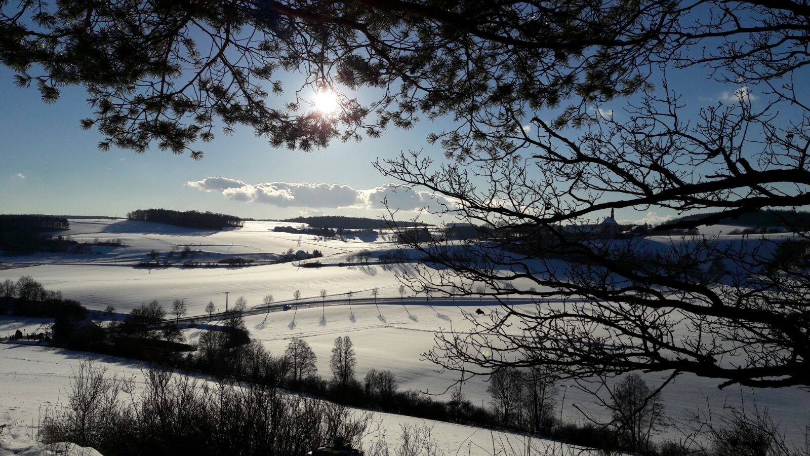 Foto zeigt eine Winteraufnahme der Landschaft in Pettendorf (1)