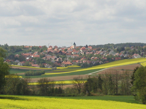 Bild zeigt Landschaft in Pettendorf im Sommer