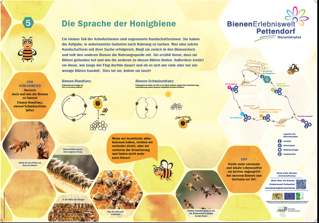 Die Sprache der Honigbiene