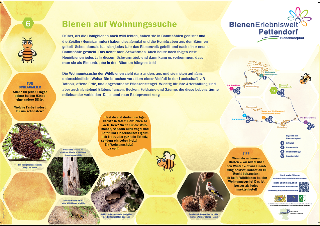 Beschreibung der Nistplätze von Honig- und Wildbienen.