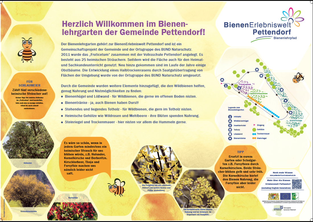 Beschreibung des Bienenlehrgartens bei Pettendorf und was dort für Bienen gemacht wurde.